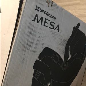 UPPAbaby Bryce car seat    Gray/silver